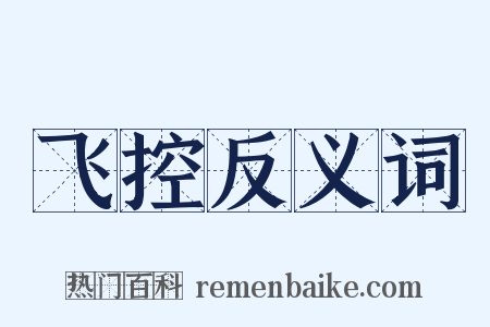 飞控反义词是什么意思的图片